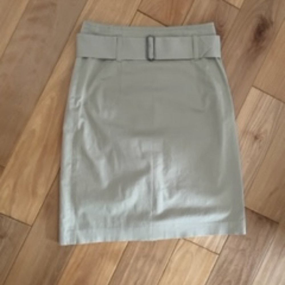 Theory size 2 Khaki skirt with removable belt